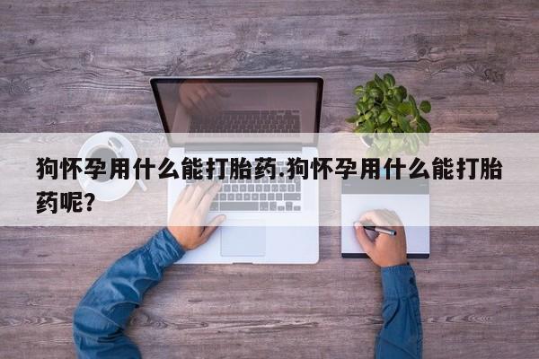 打胎药购买狗怀孕用什么能打胎药.狗怀孕用什么能打胎药呢？