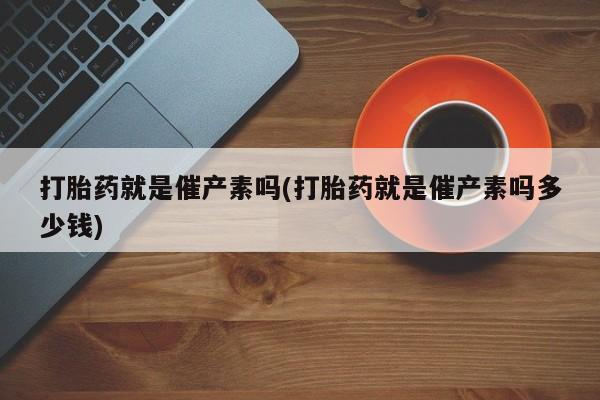 admin 第222页