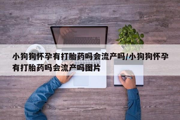 打胎药购买小狗狗怀孕有打胎药吗会流产吗/小狗狗怀孕有打胎药吗会流产吗图片