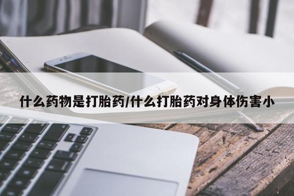 打胎药购买什么药物是打胎药/什么打胎药对身体伤害小