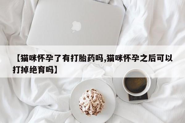 打胎药购买【猫咪怀孕了有打胎药吗,猫咪怀孕之后可以打掉绝育吗】