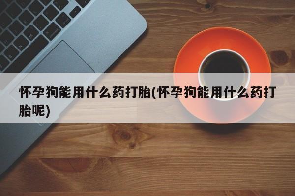 打胎药购买怀孕狗能用什么药打胎(怀孕狗能用什么药打胎呢)